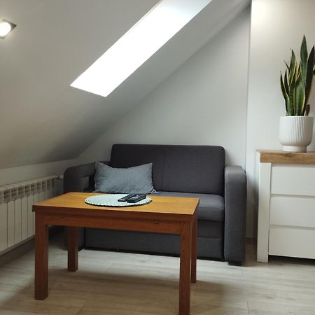 Villa Vip Pokoje Apartament Гнезно Екстер'єр фото