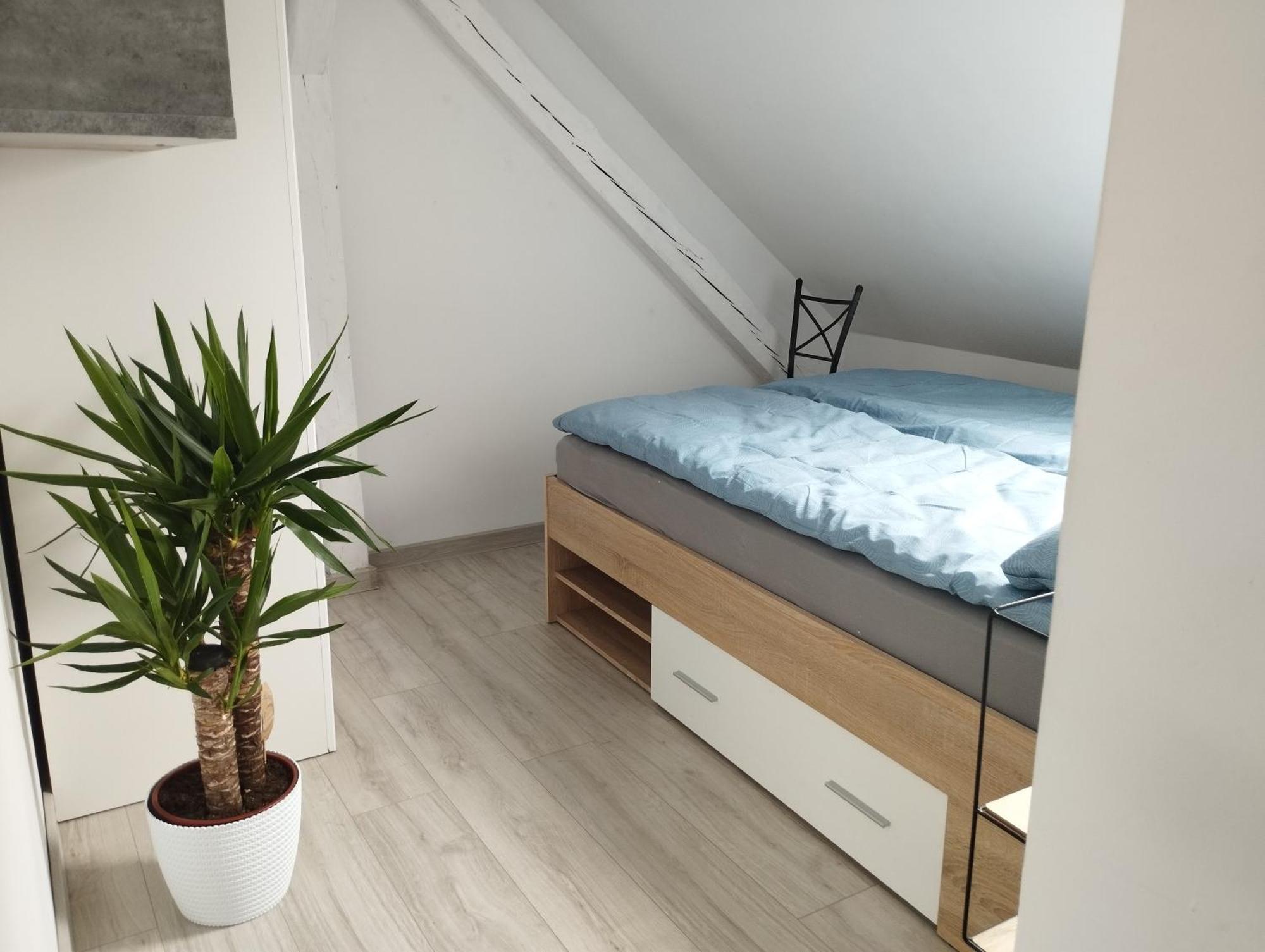 Villa Vip Pokoje Apartament Гнезно Екстер'єр фото